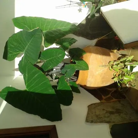 Marifly Villa